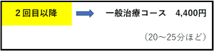 育毛はり料金２