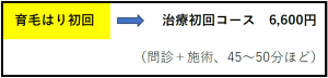 育毛はり料金１