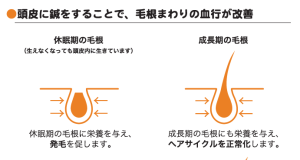 育毛はり（薄毛鍼）で発毛をうながす